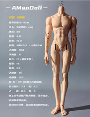 AManDoll 1/4 1/6 BJD body AM77 miniature version