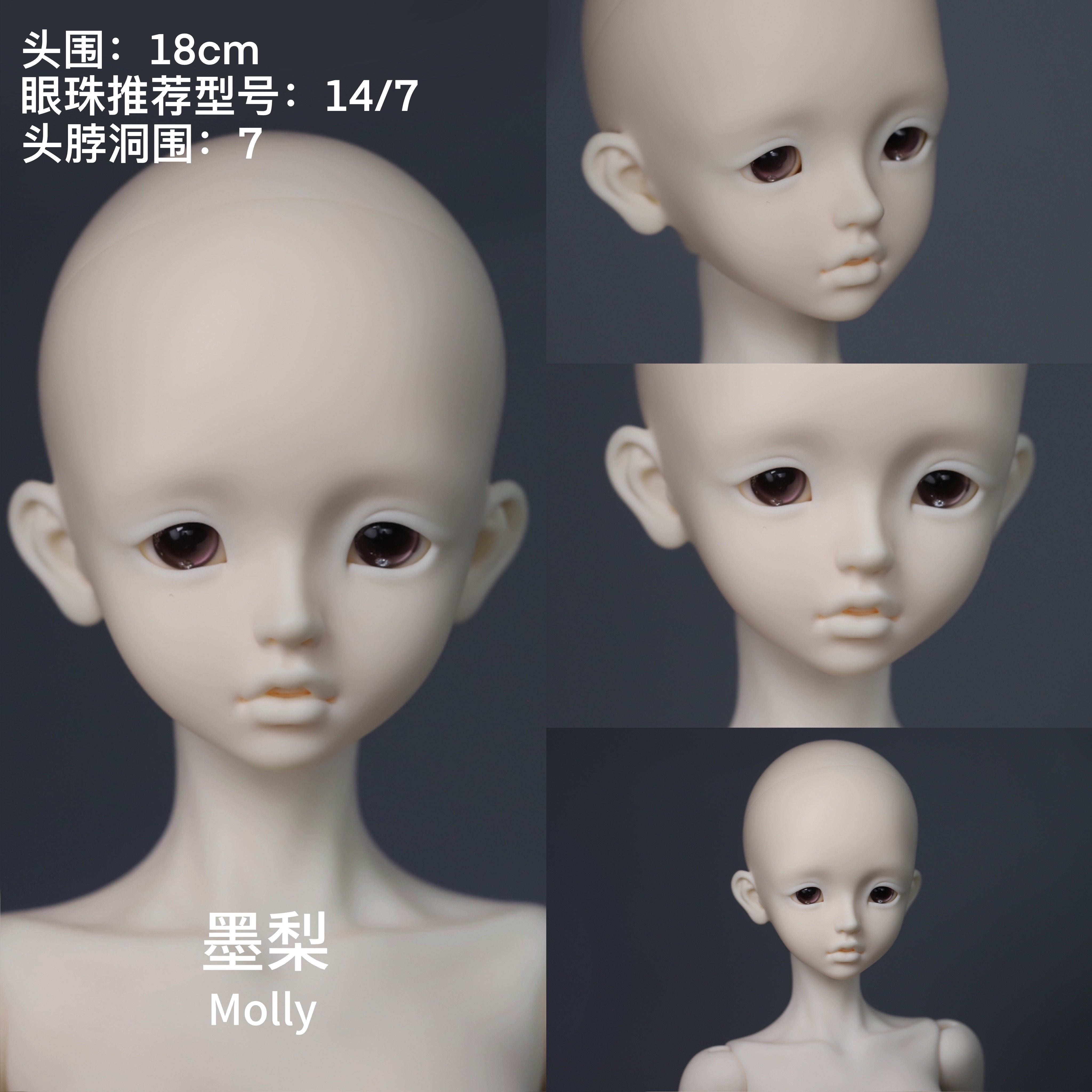 LaLunaDoll 1/4 BJD head Shirley & Molly