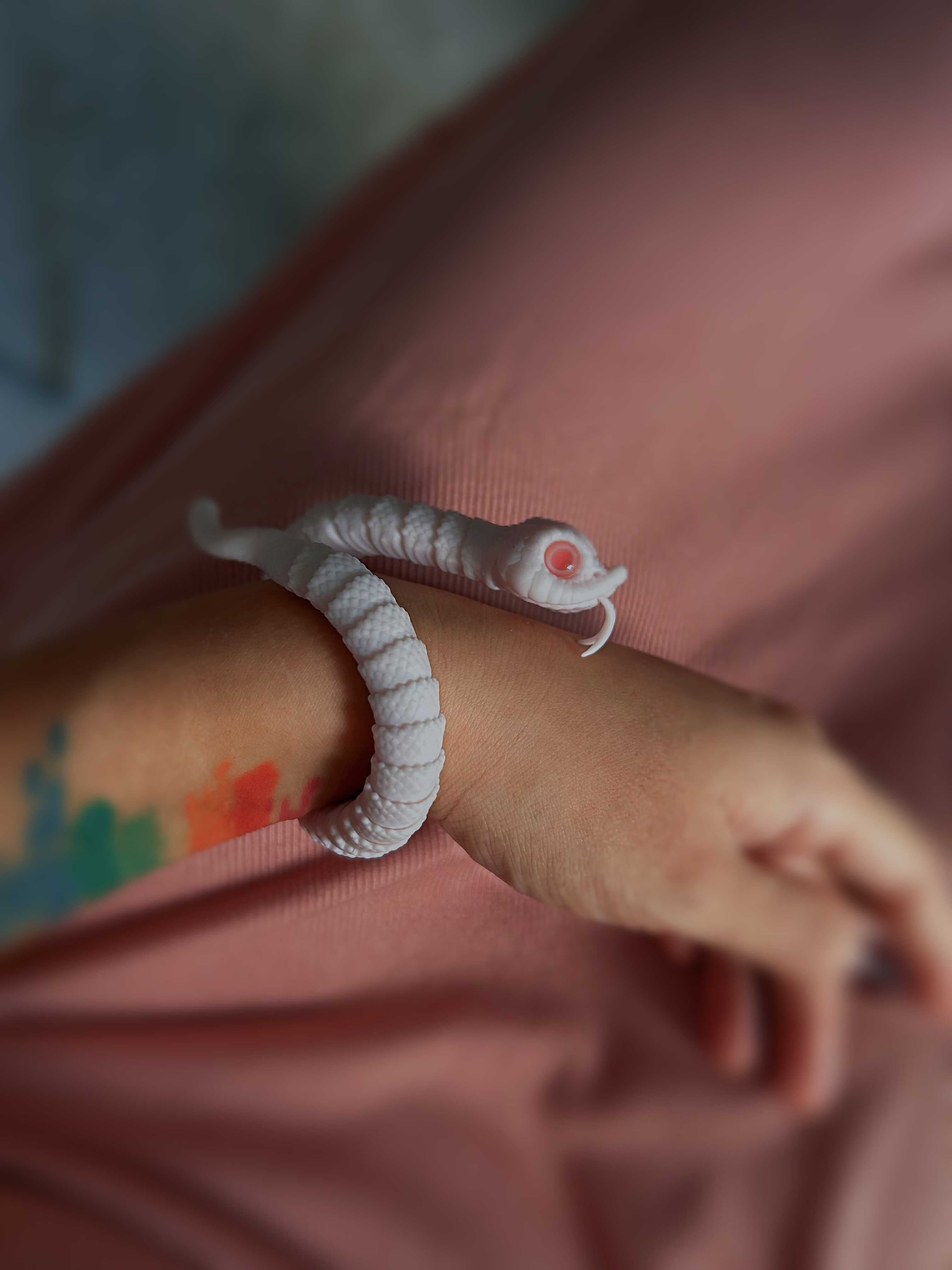 Minstrel Painting BJD Hognose snake代购