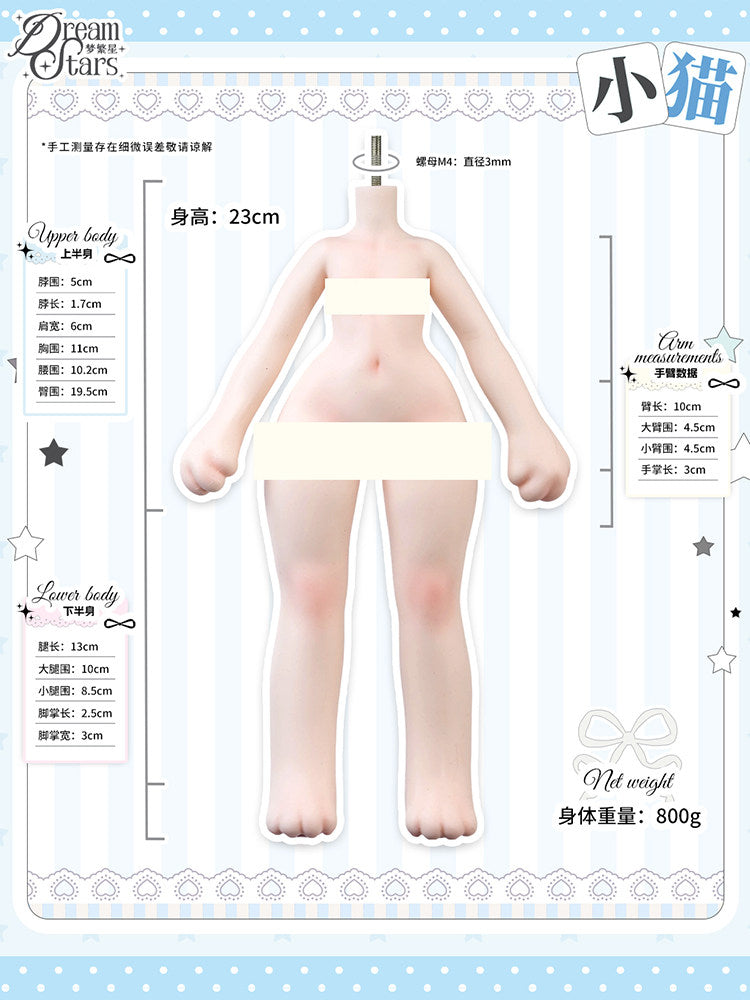 DreamStar 1/6 Silicone body