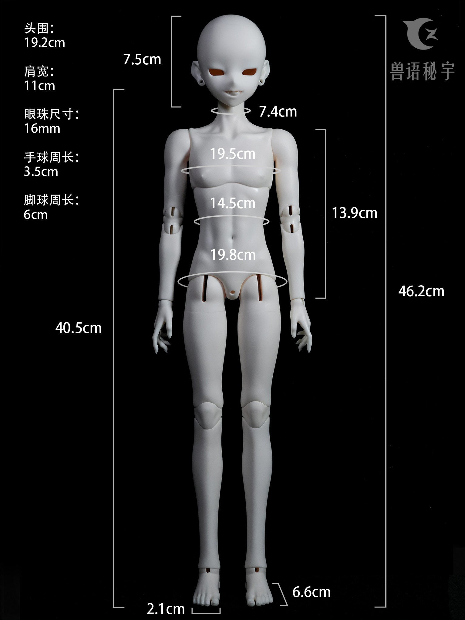 YZdoll 1/4 bjd head nude doll YanSi