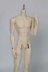 WonderlandDoll 70cm BJD body