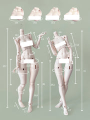 CocoonDoll 1/4 FuYu BJD body