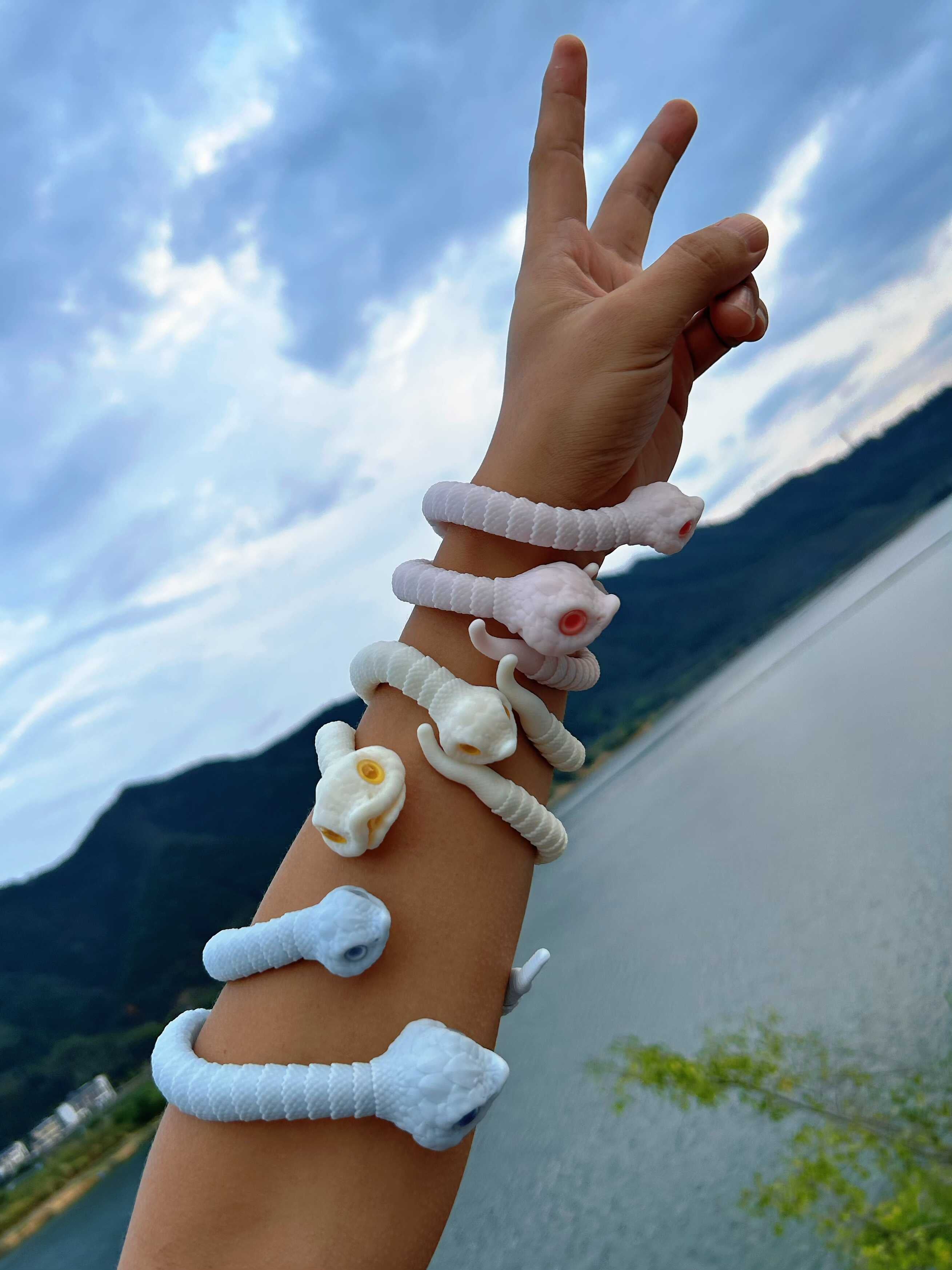 Minstrel Painting BJD Hognose snake代购