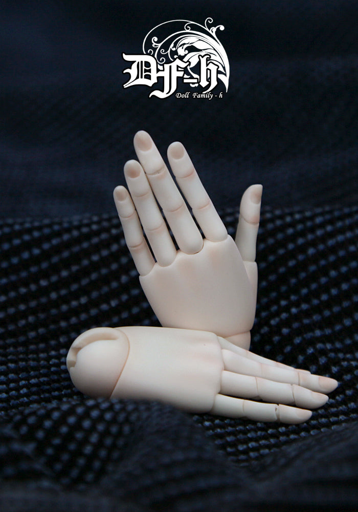 DF-H 1/4 joint hands