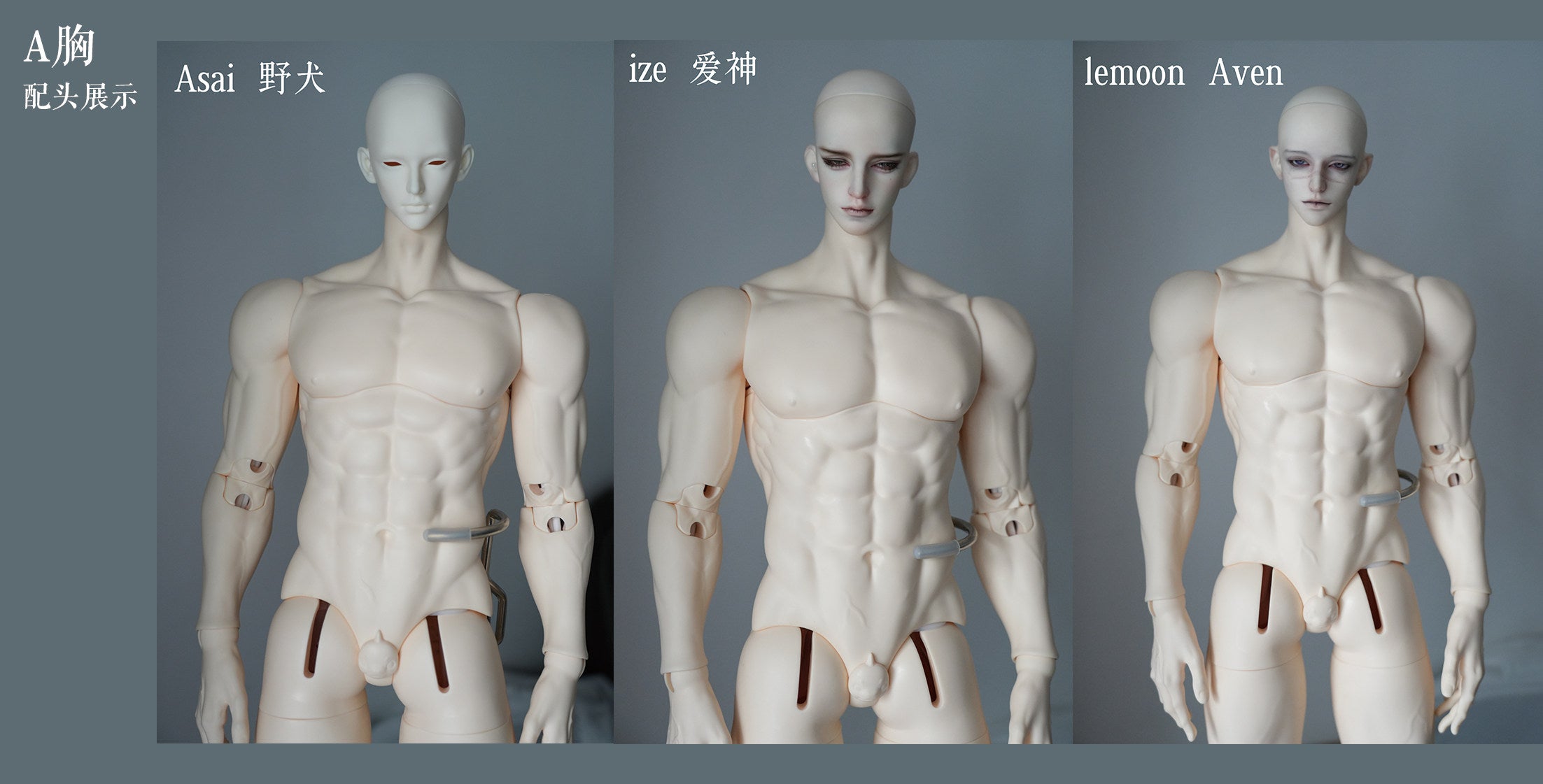 ChaiYu 77cm BJD body