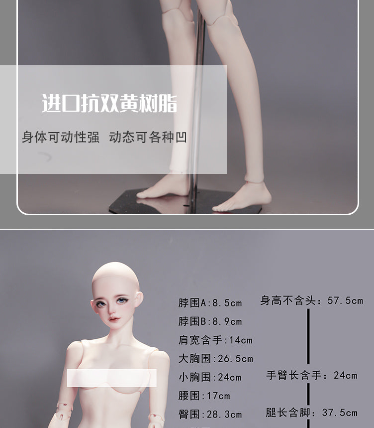 Aolingshi 62cm YueXi bjd body