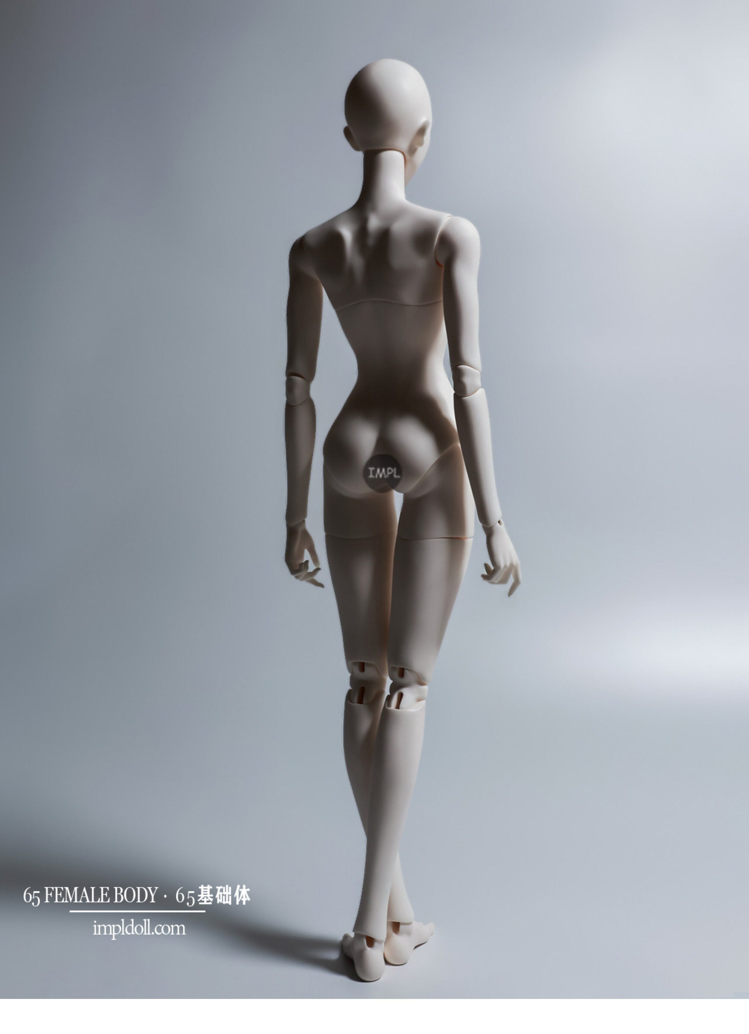 ImplDoll 65cm female BJD body仅代购
