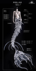 AEDOLL 1/4 BJD Mermaid Spio