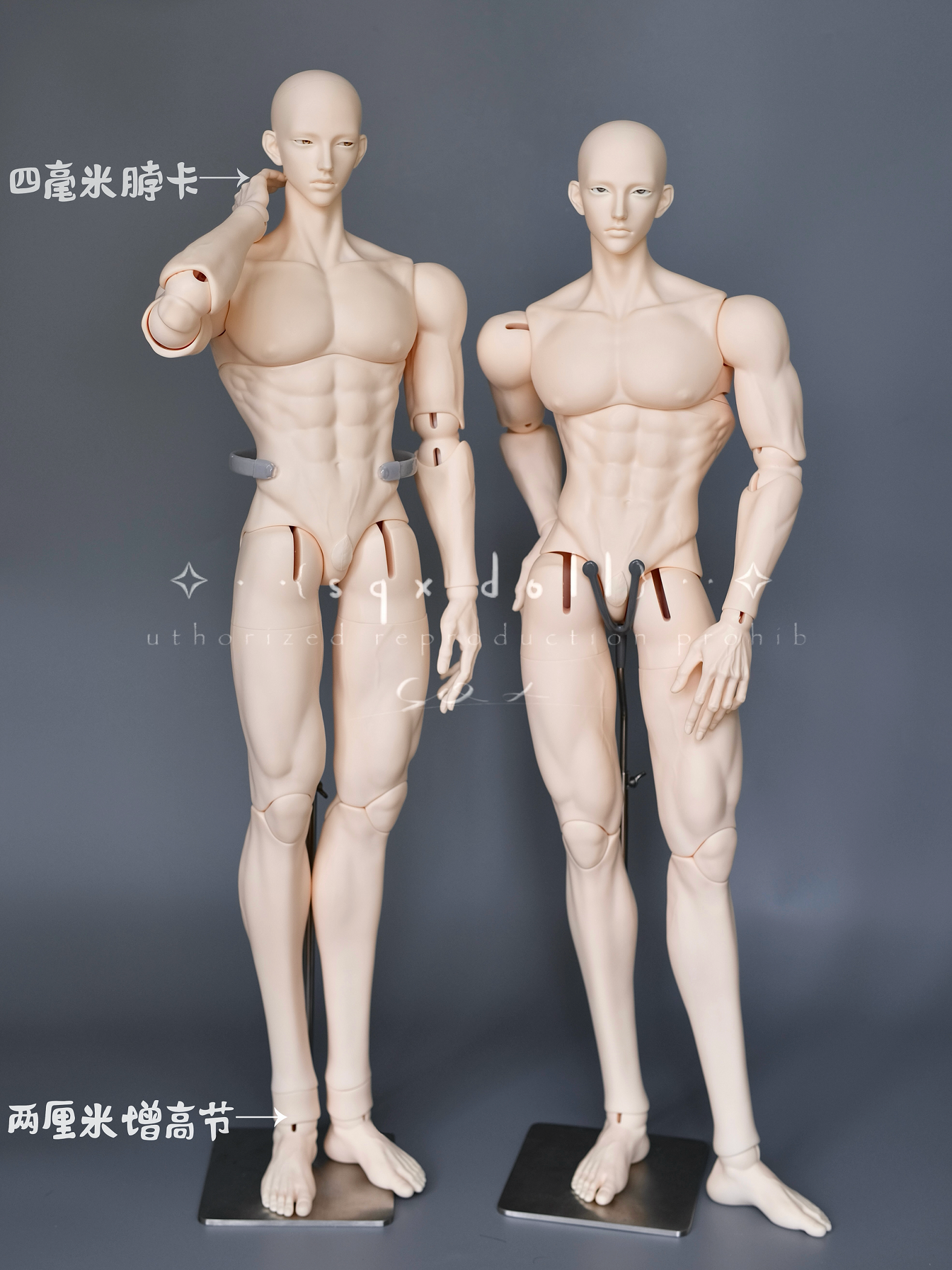 SQLdoll 75cm BJD head Zhou代购