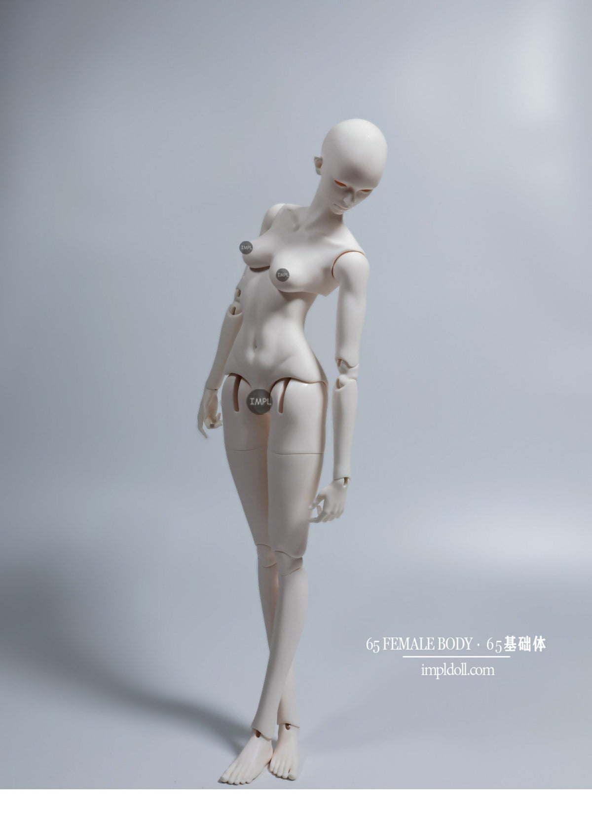ImplDoll 65cm female BJD body仅代购
