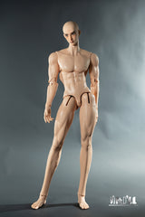 Dikadoll 75cm 78cm Alpha Wolf BJD body