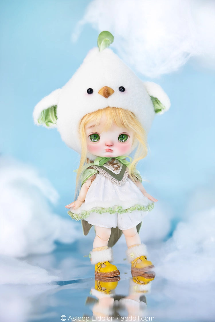 AEDOLL 1/6 full set ChuMi