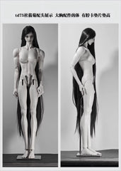 Abidoll 75cm bjd body full set 2026