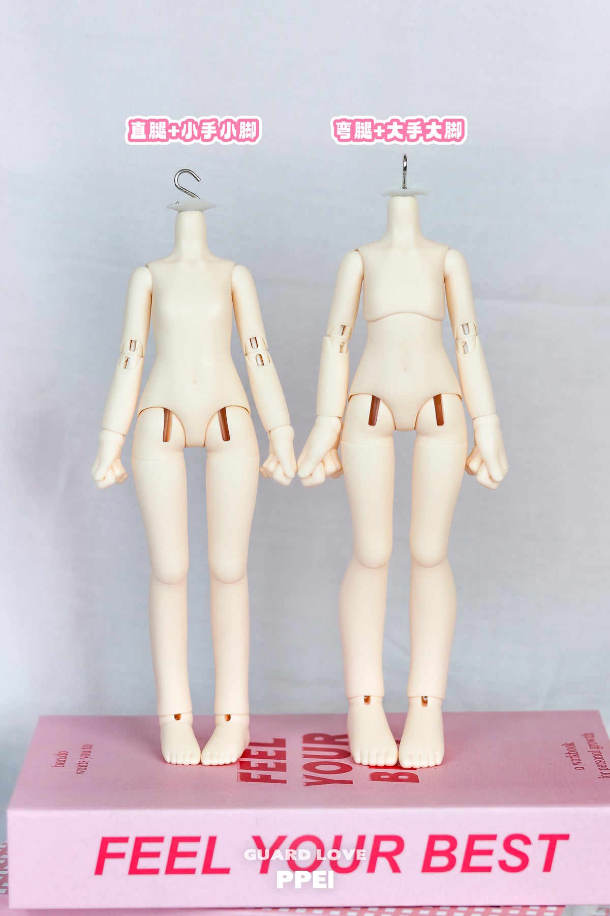 Guard-Love 1/6 PPEI BJD body