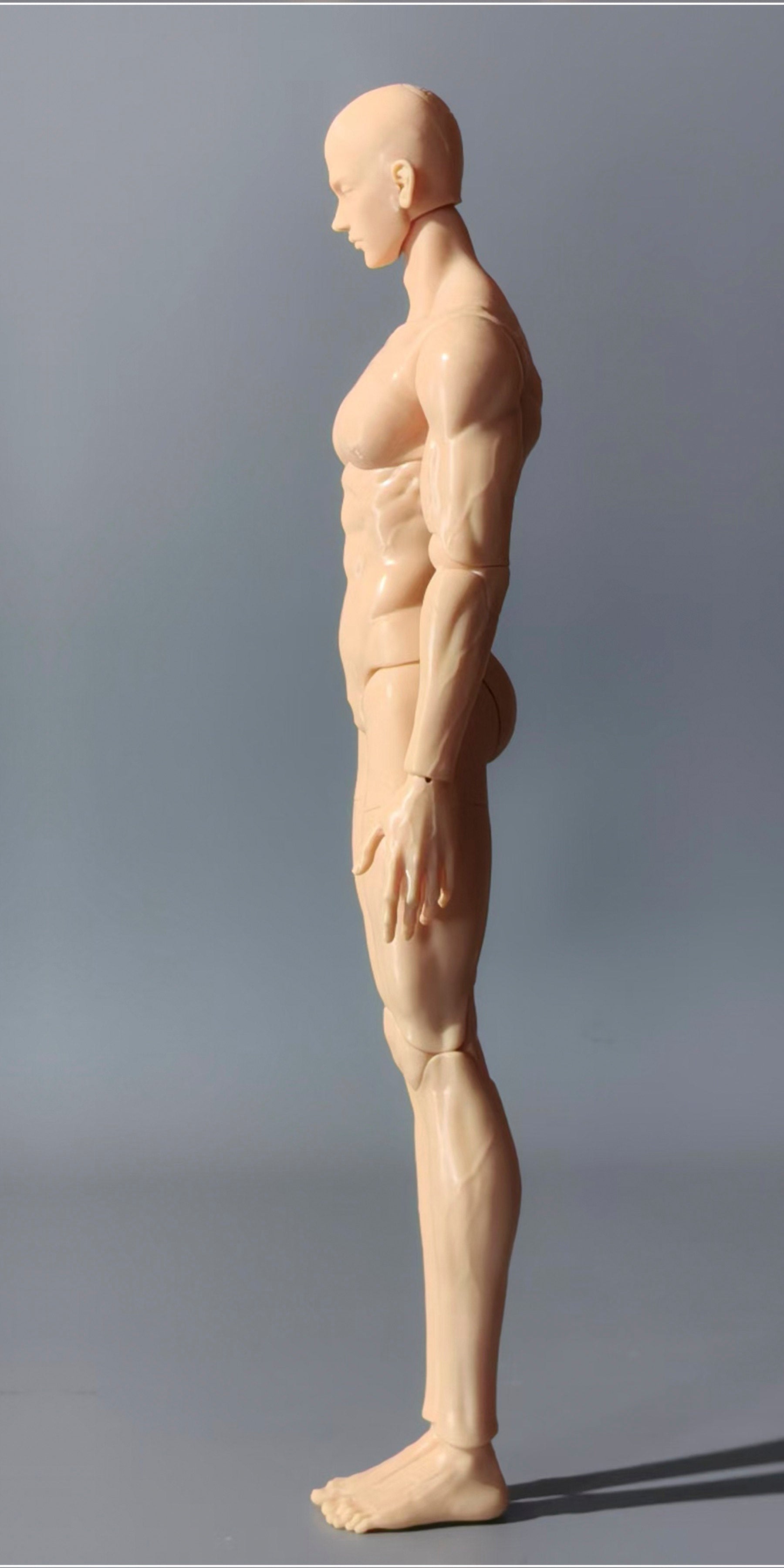 AManDoll 1/4 1/6 BJD body AM77 miniature version
