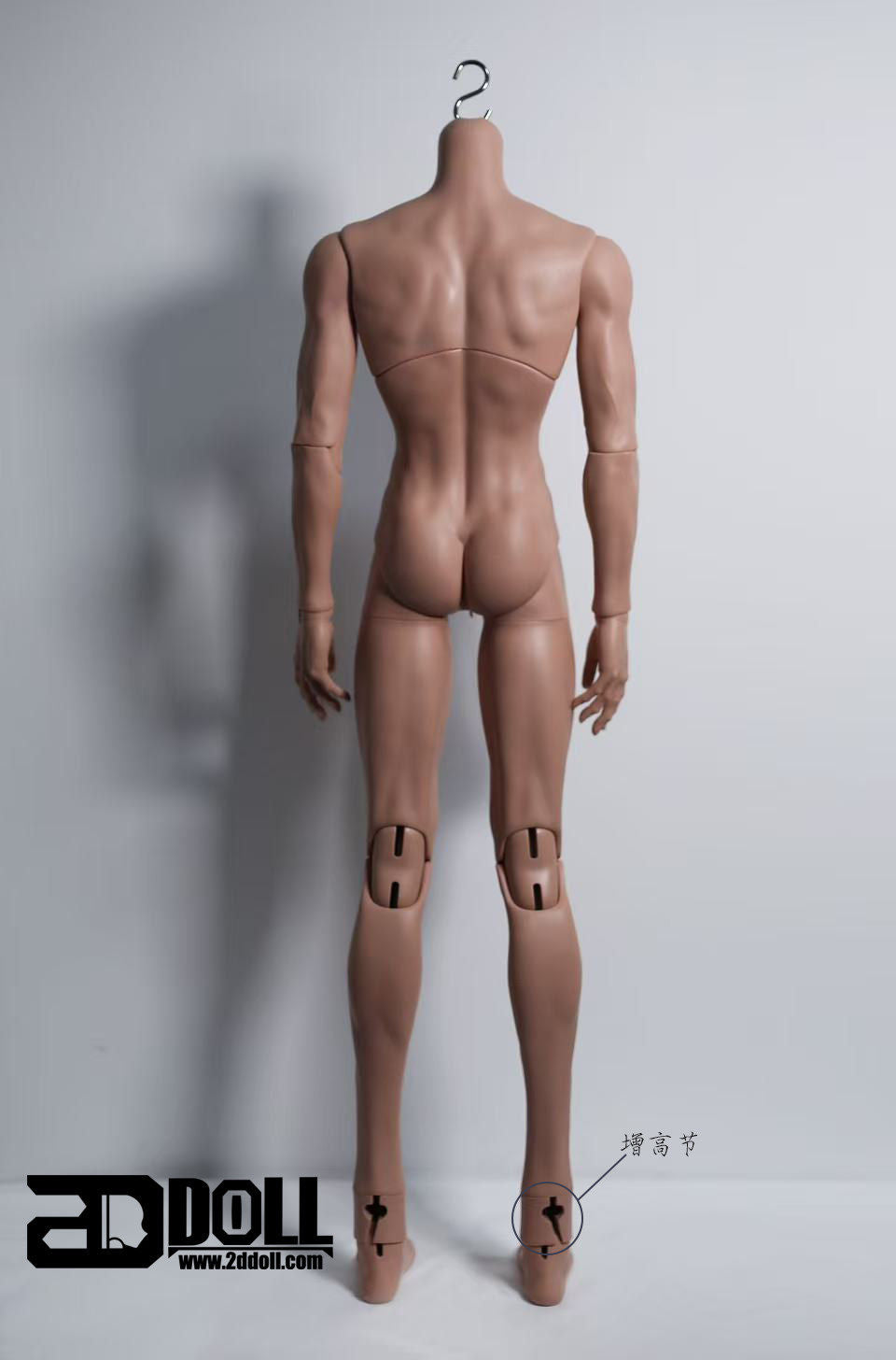 2Ddoll Mommy2.0 75cm & thin muscle Body BJD for Muse