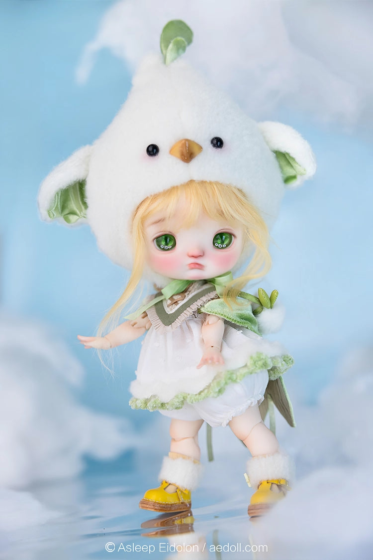 AEDOLL 1/6 full set ChuMi