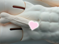 ChaiYu 75cm 77cm BJD tintins