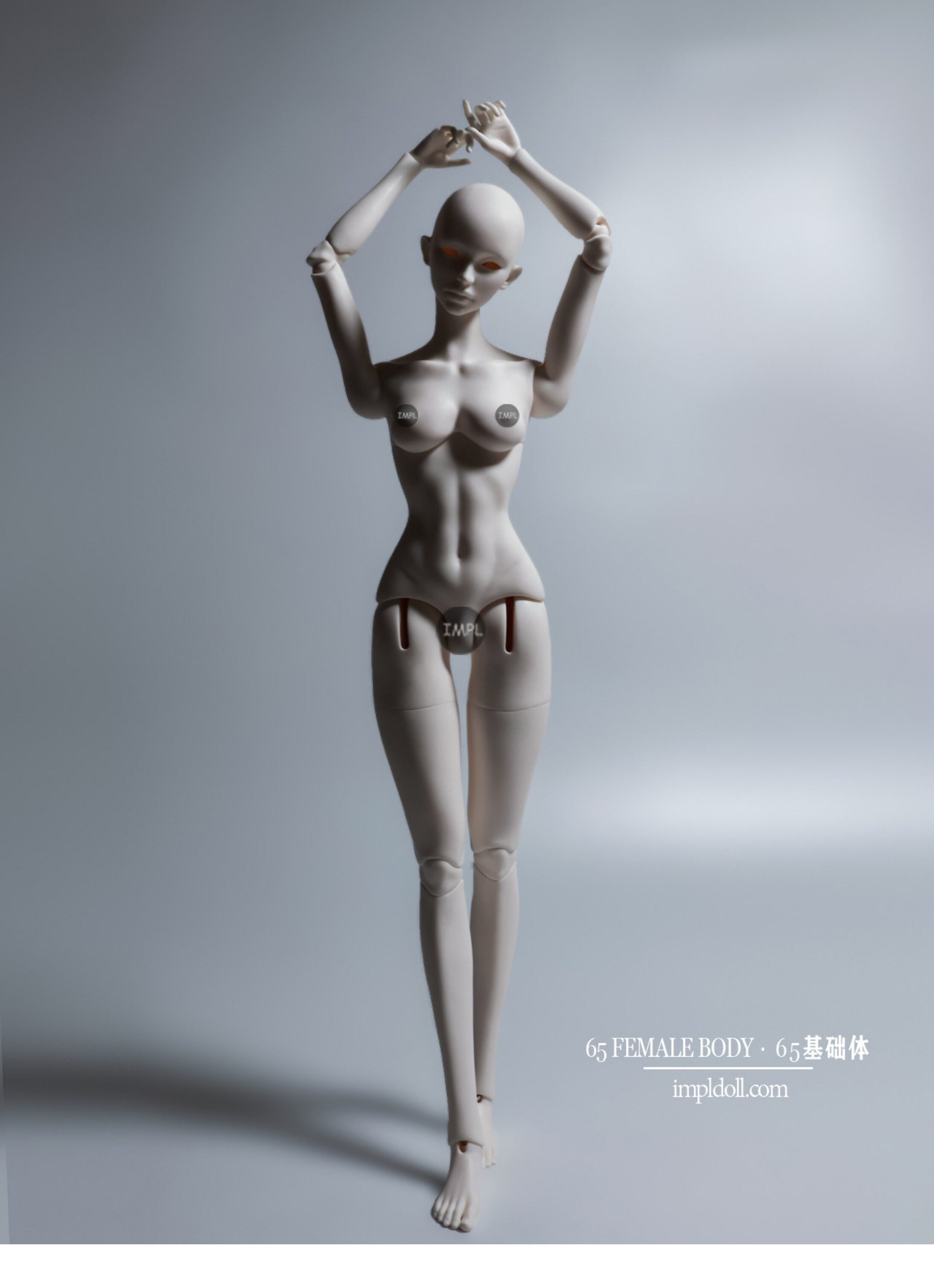 ImplDoll 65cm female BJD body仅代购
