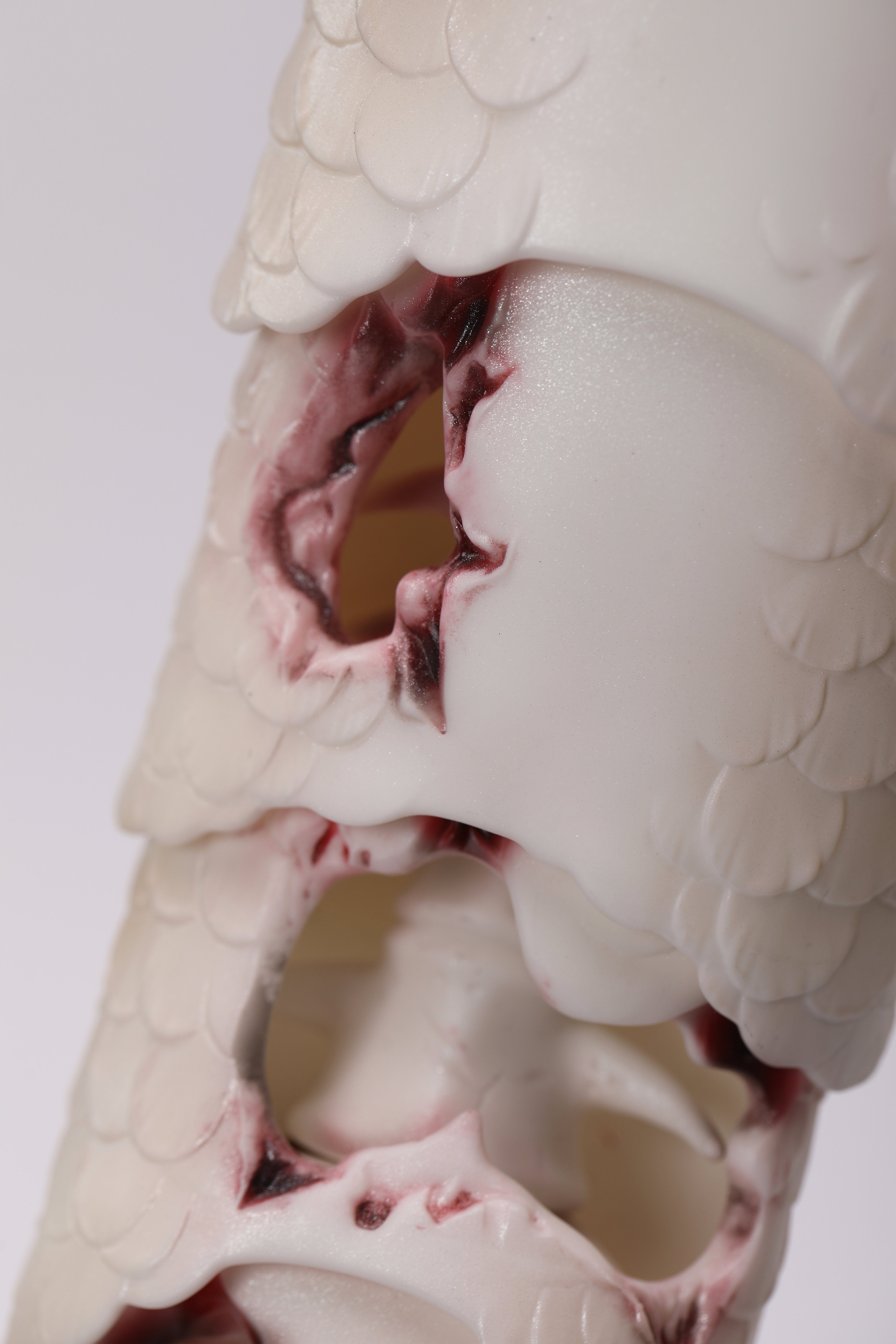 DollZone 1/4 BJD Mermaid BJD Accessories