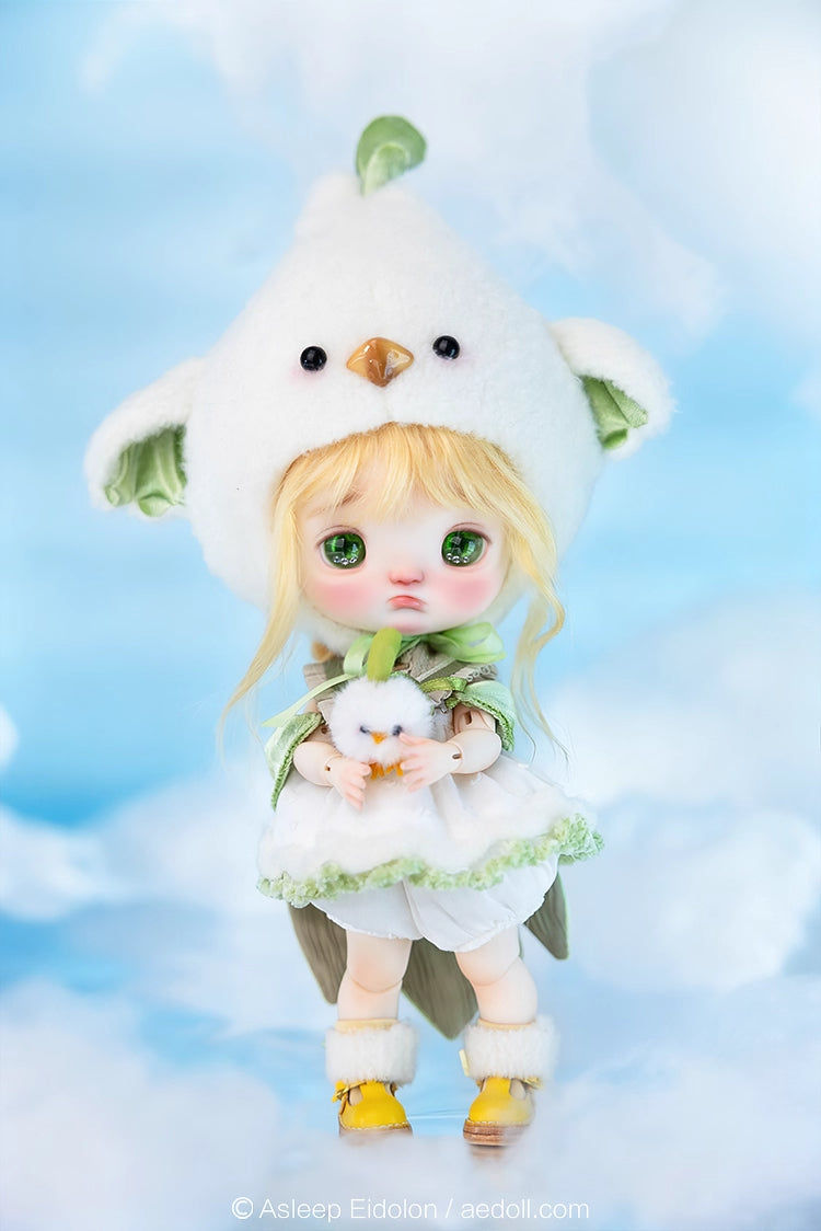 AEDOLL 1/6 full set ChuMi