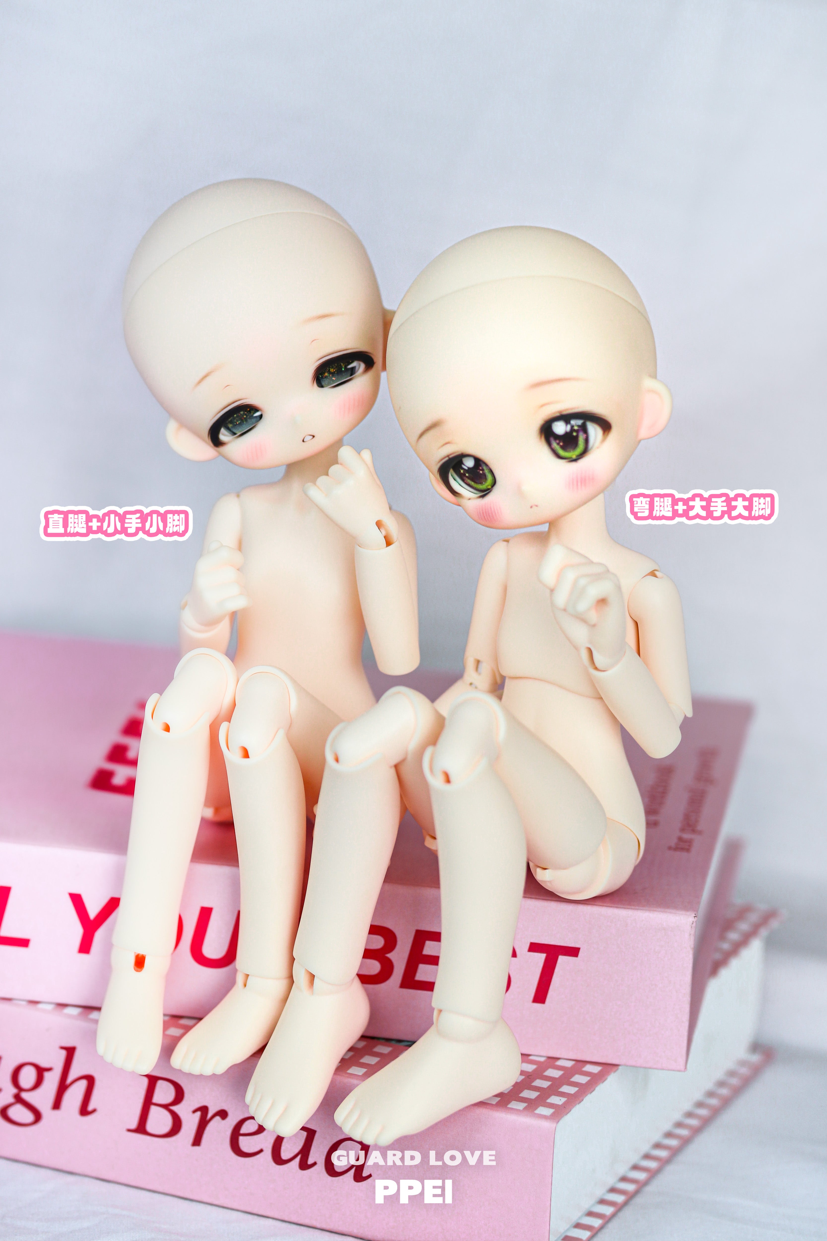 Guard-Love 1/6 PPEI BJD body