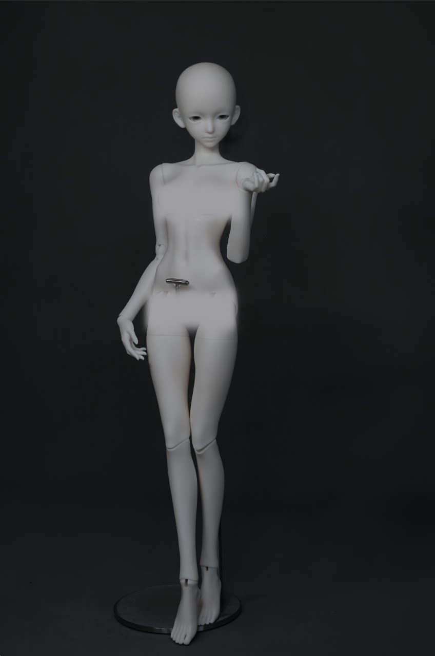 WonderlandDoll 1/4 Eira & Lyra body BJD full set