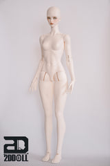 2Ddoll 68cm female BJD body