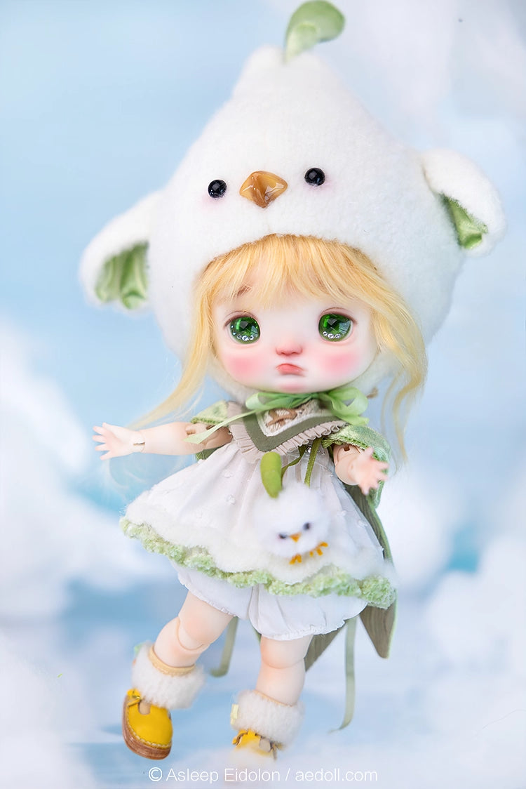 AEDOLL 1/6 full set ChuMi