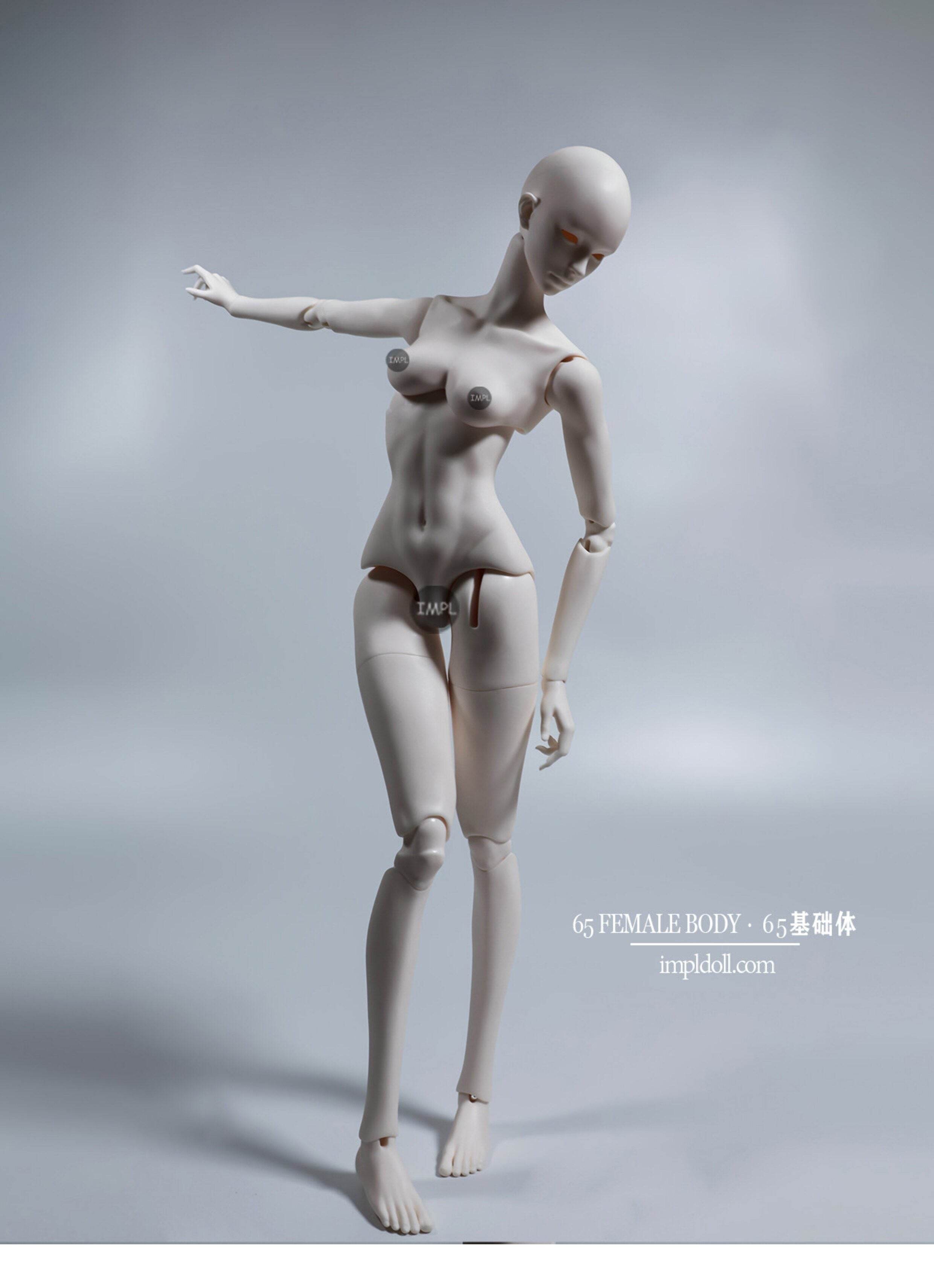 ImplDoll 65cm female BJD body仅代购