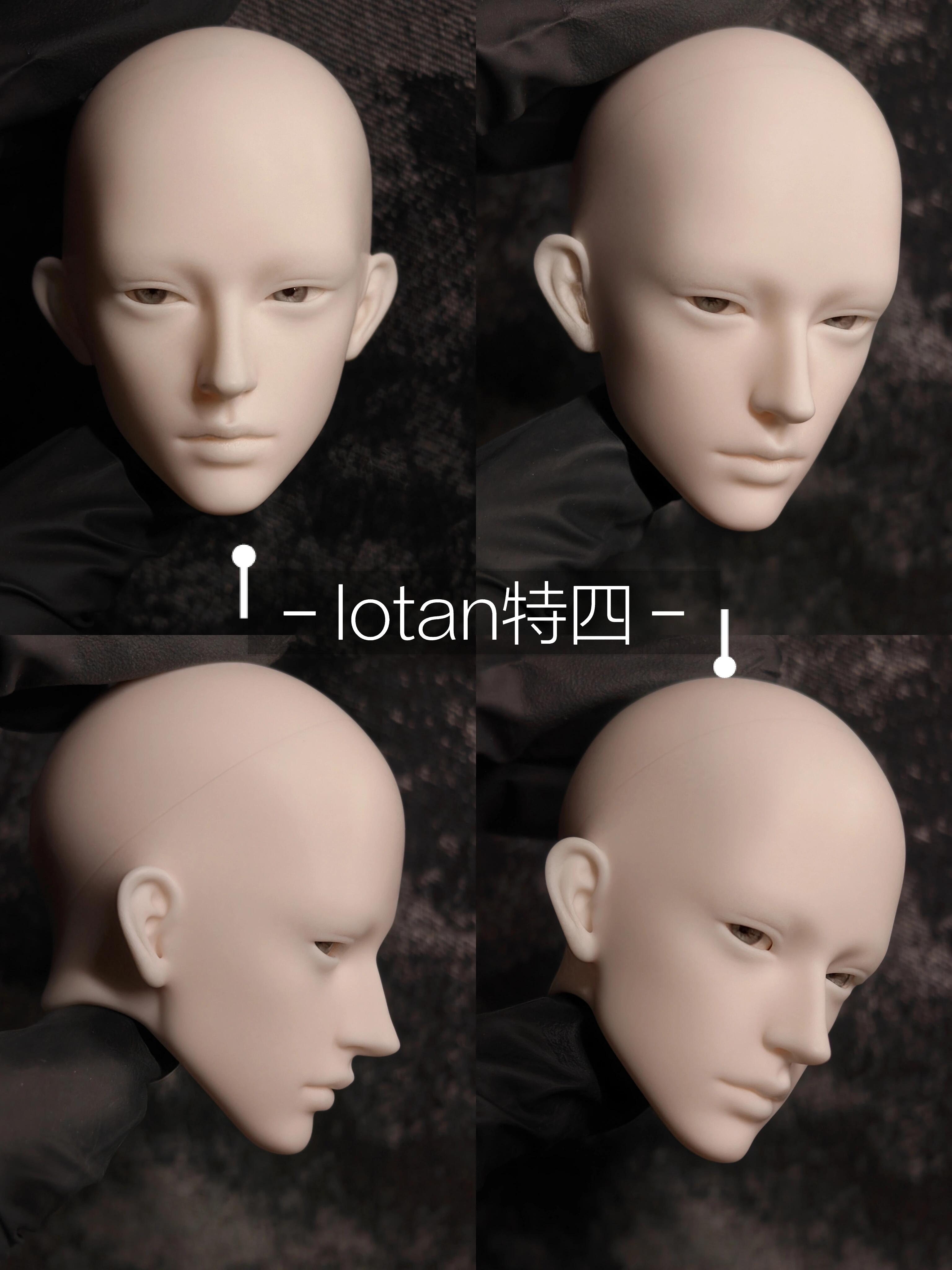 Alberich 1/4 & 75cm BJD head Rex & Lotan
