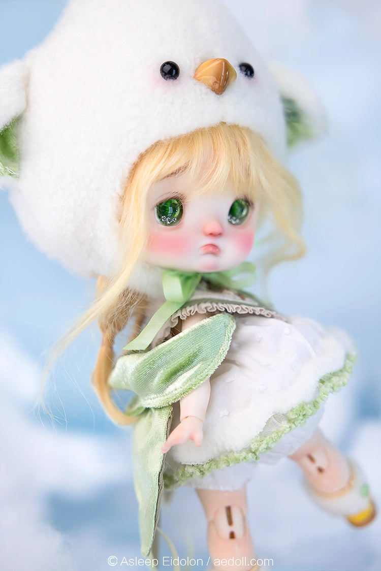 AEDOLL 1/6 full set ChuMi