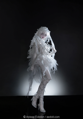 AEDOLL 1/6 full set Nivi with XingLing body
