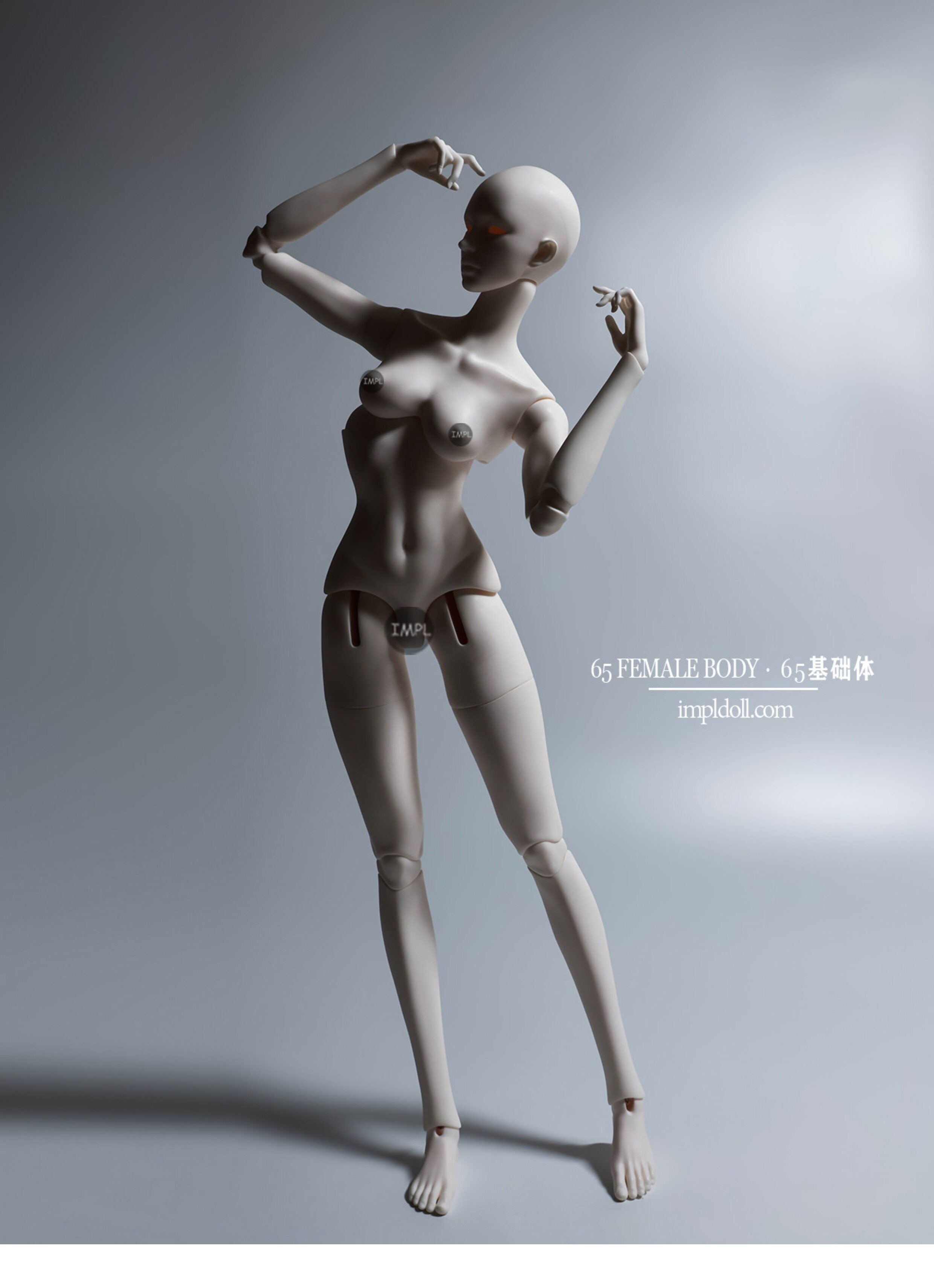 ImplDoll 65cm female BJD body仅代购