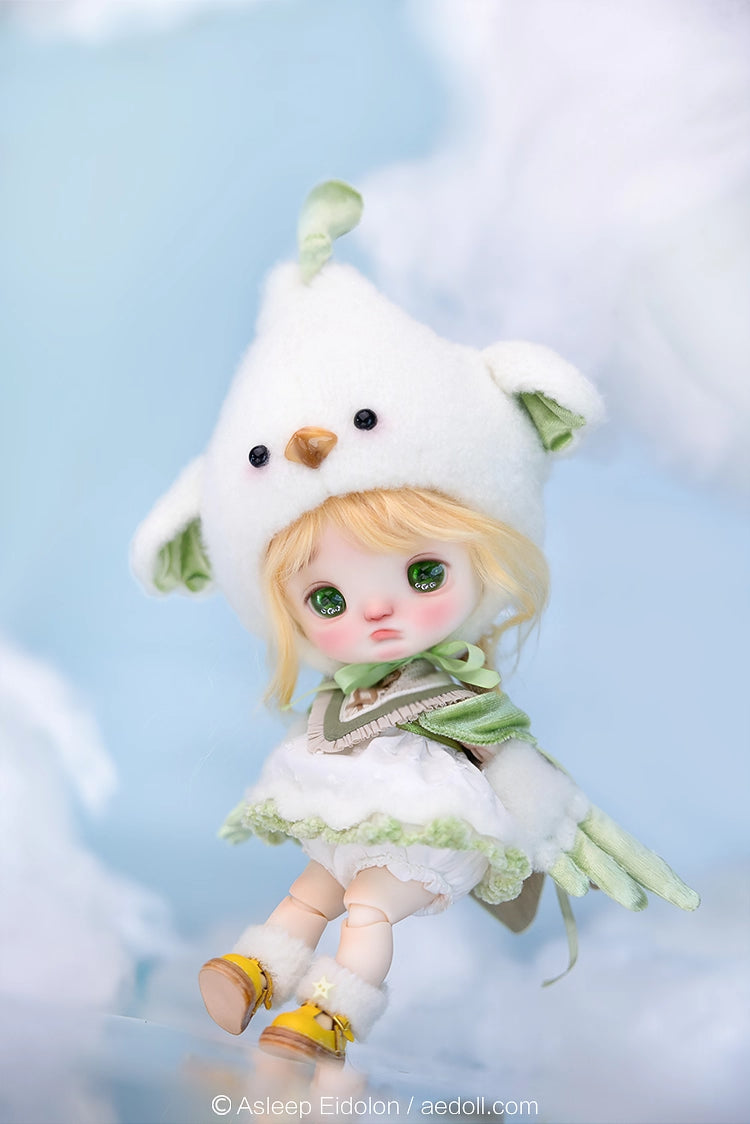 AEDOLL 1/6 full set ChuMi