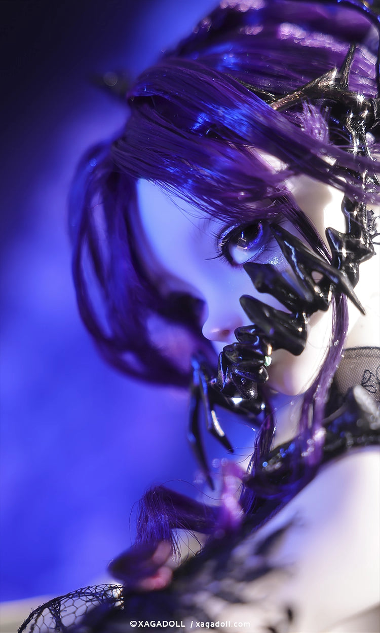 XAGADOLL 1/3 BJD full set Rowlinsa