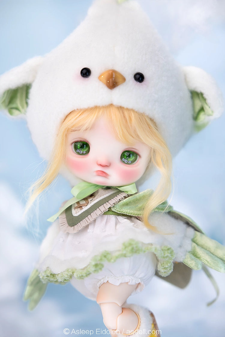 AEDOLL 1/6 full set ChuMi