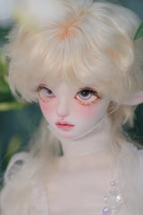 WonderlandDoll 1/4 Fluffy mini/ M'Fluffy BJD full set