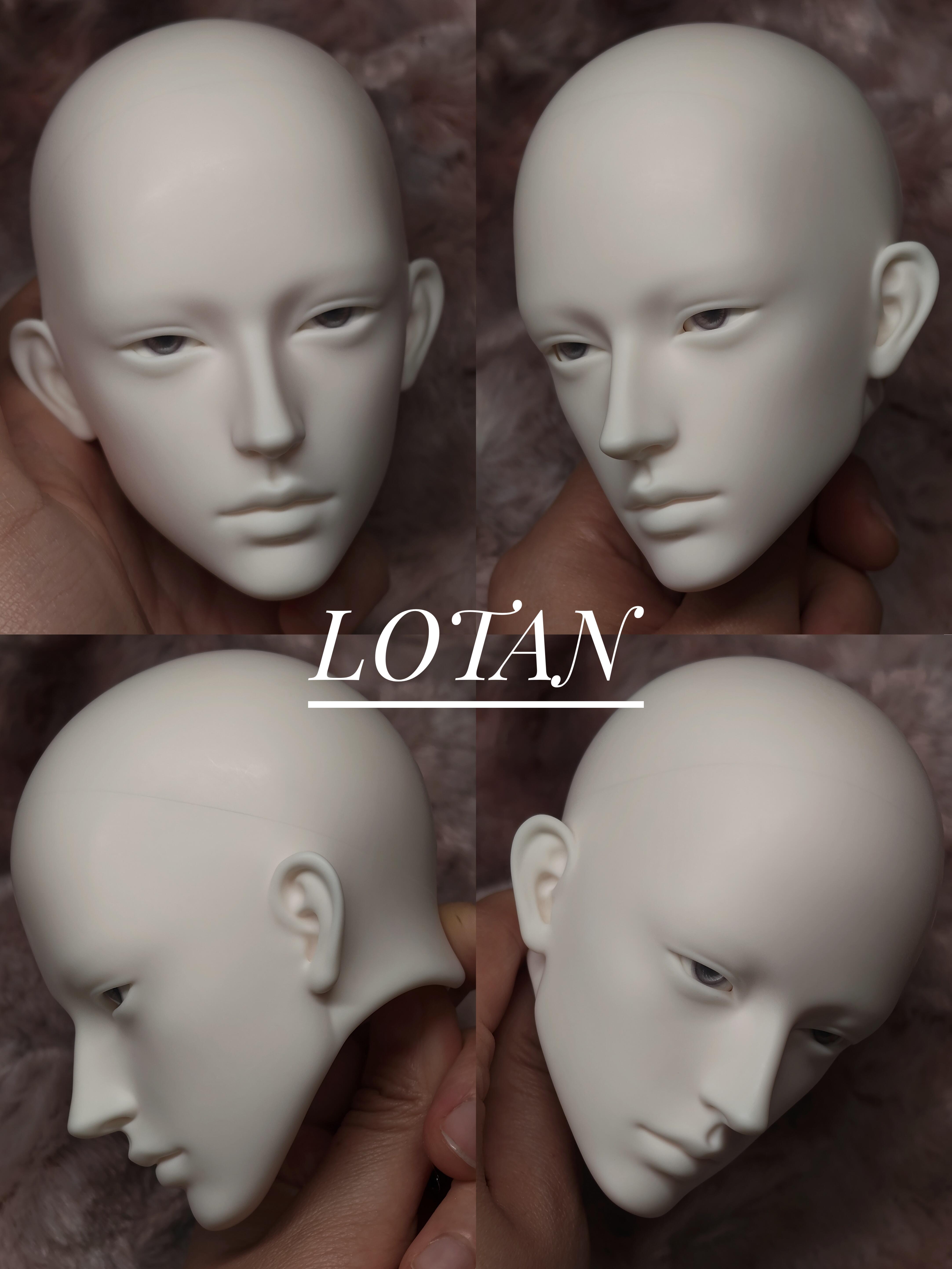 Alberich 1/4 & 75cm BJD head Rex & Lotan