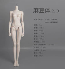 FANFF 1/3 BJD BODY 62cm model 2.0