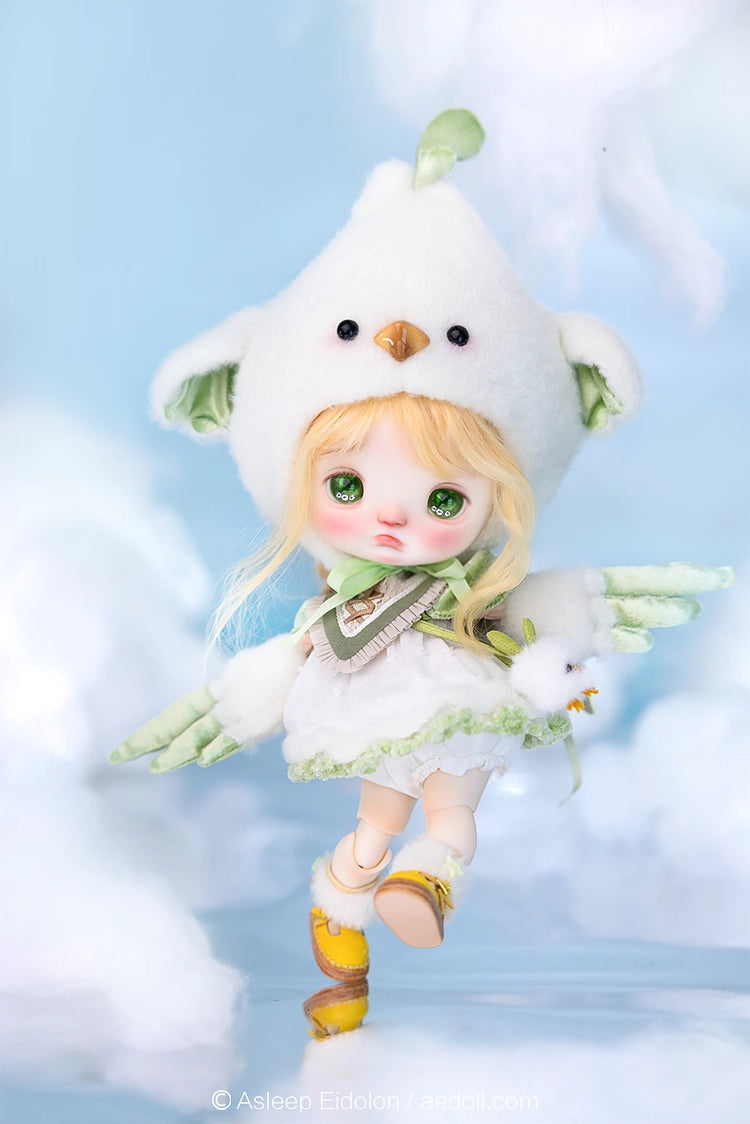 AEDOLL 1/6 full set ChuMi