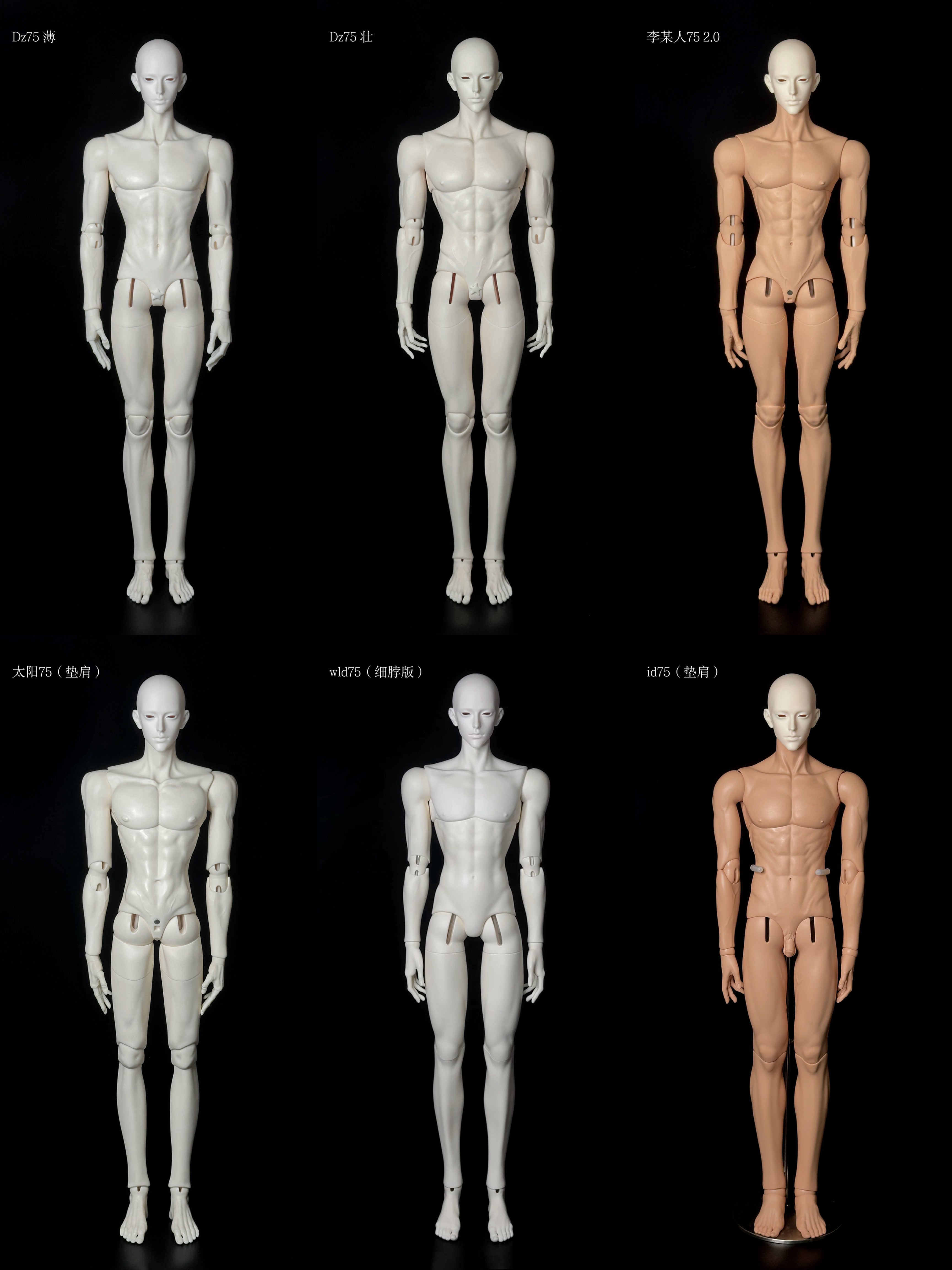 Light 1/4 75cm BJD head Aries代购