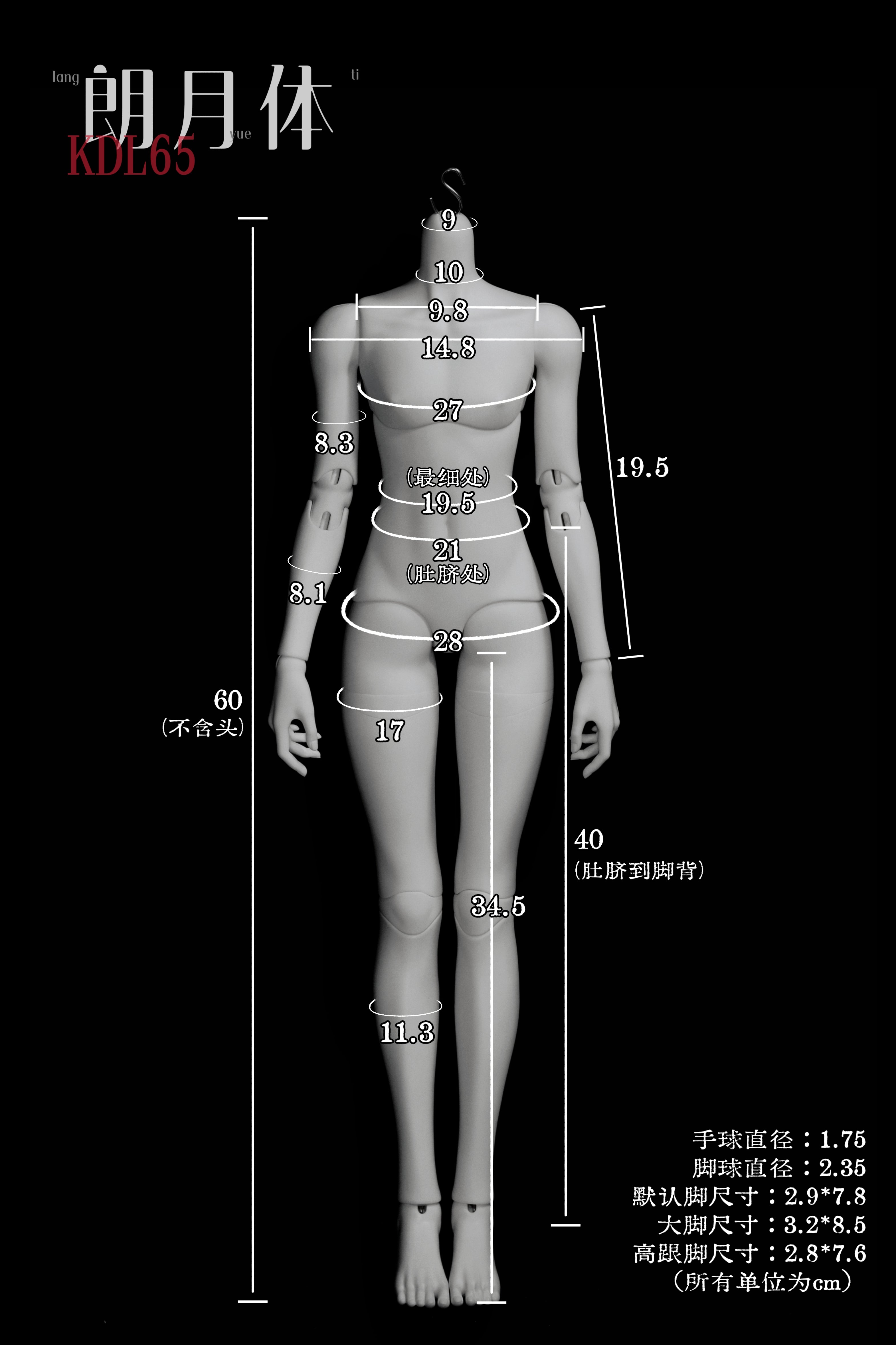 KDL "LangYue" 1/3 BJD body for 65 youngster