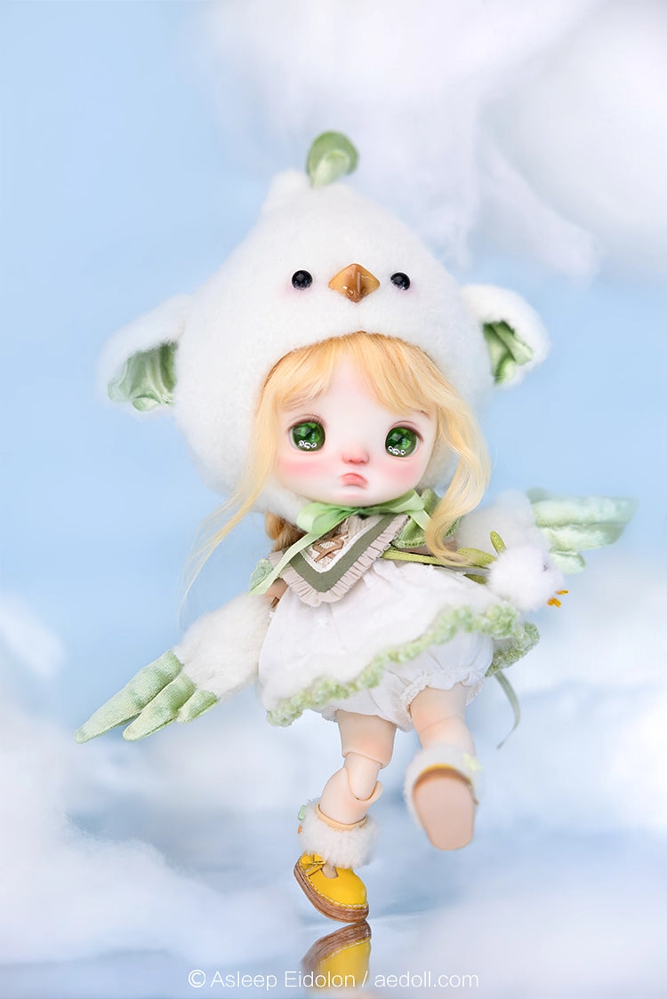 AEDOLL 1/6 full set ChuMi