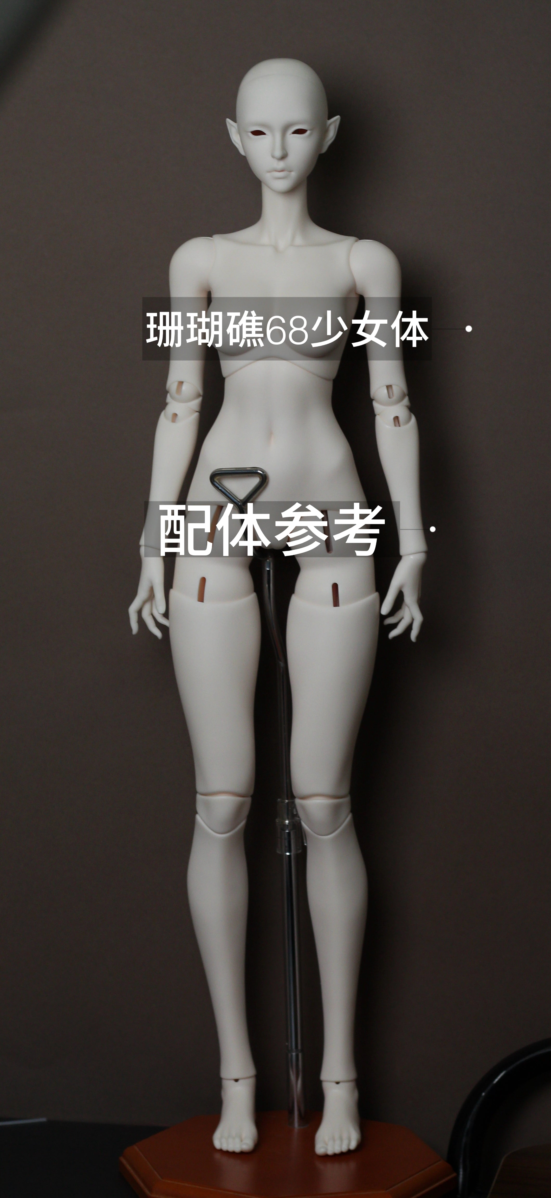 Naro 70cm BJD head WuZhui