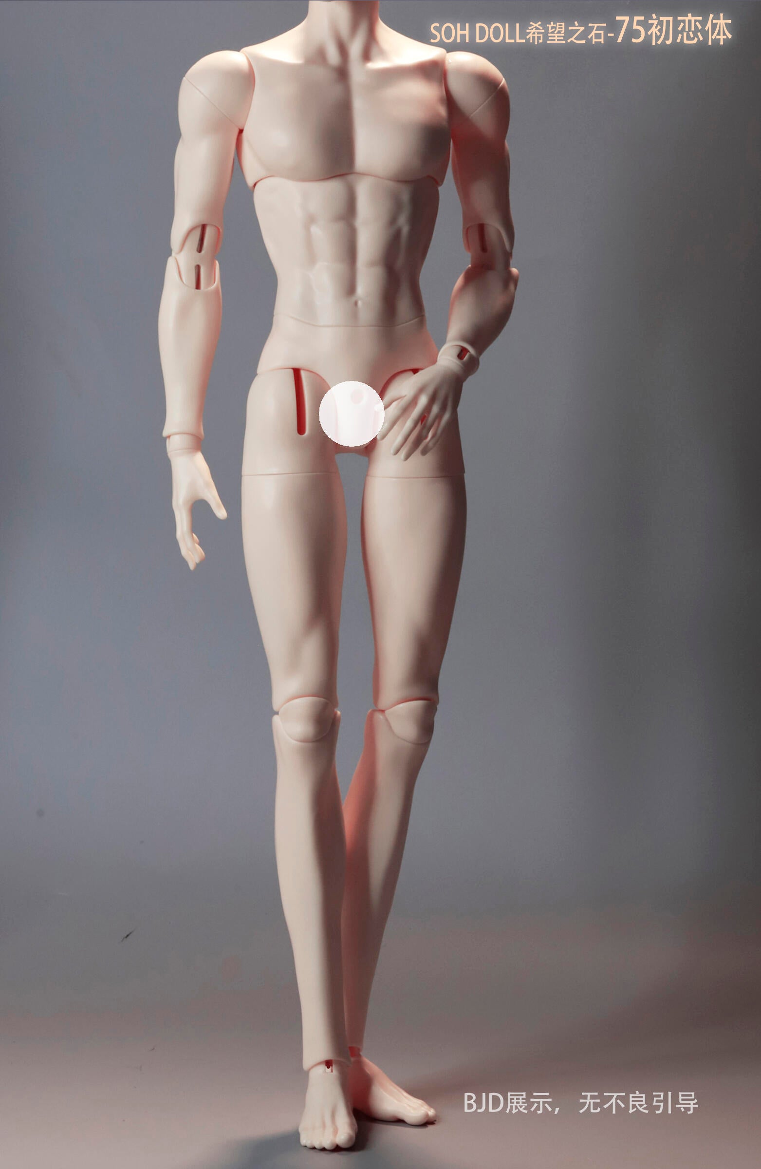 SOHdoll 75cm “First Love” BJD body