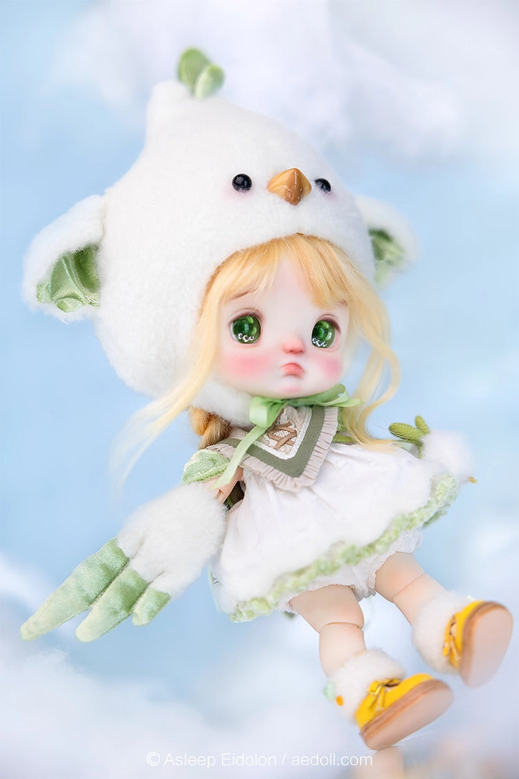 AEDOLL 1/6 full set ChuMi