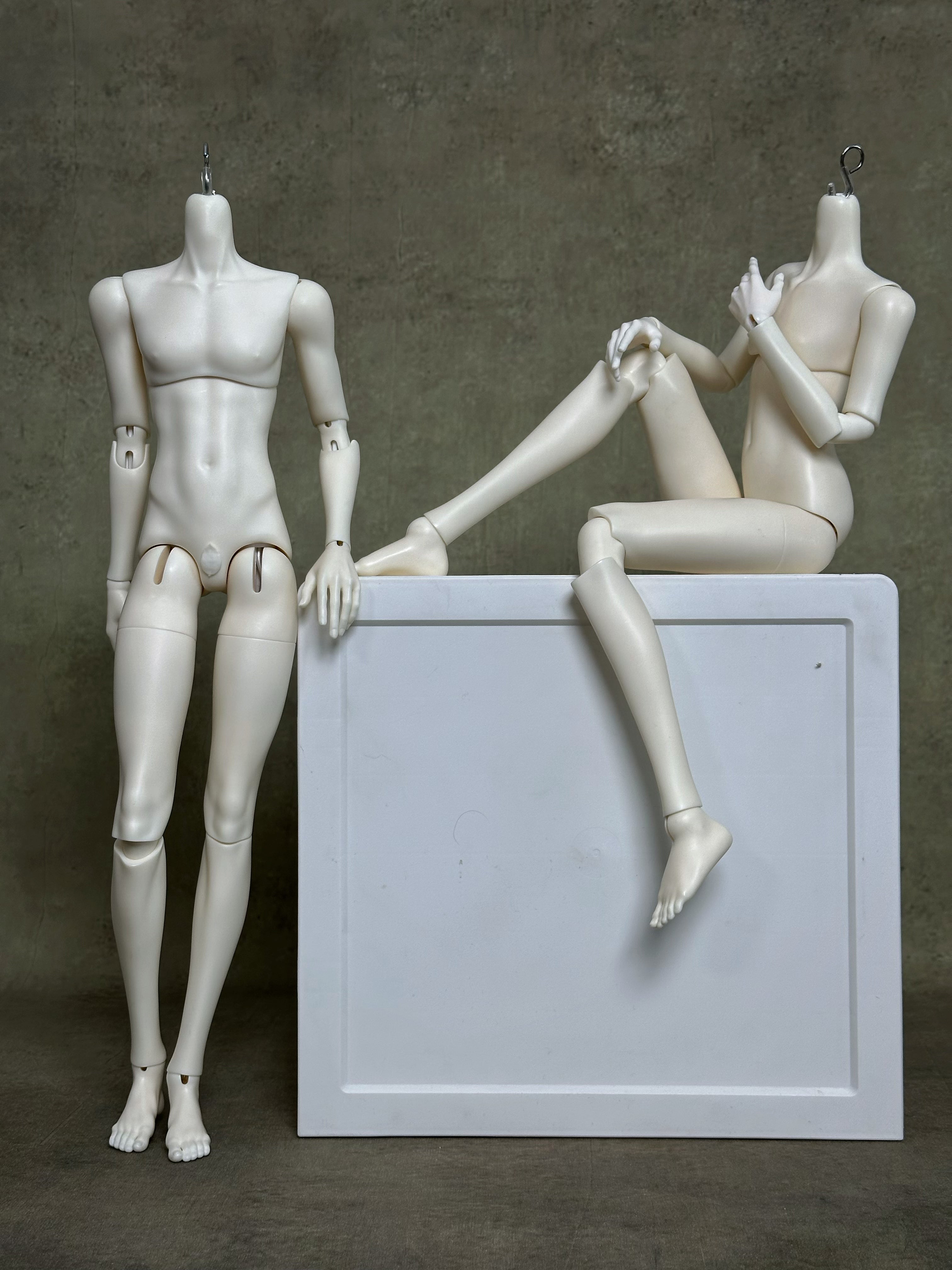 WonderlandDoll 1/4 Lino/ Lino SP BJD full set