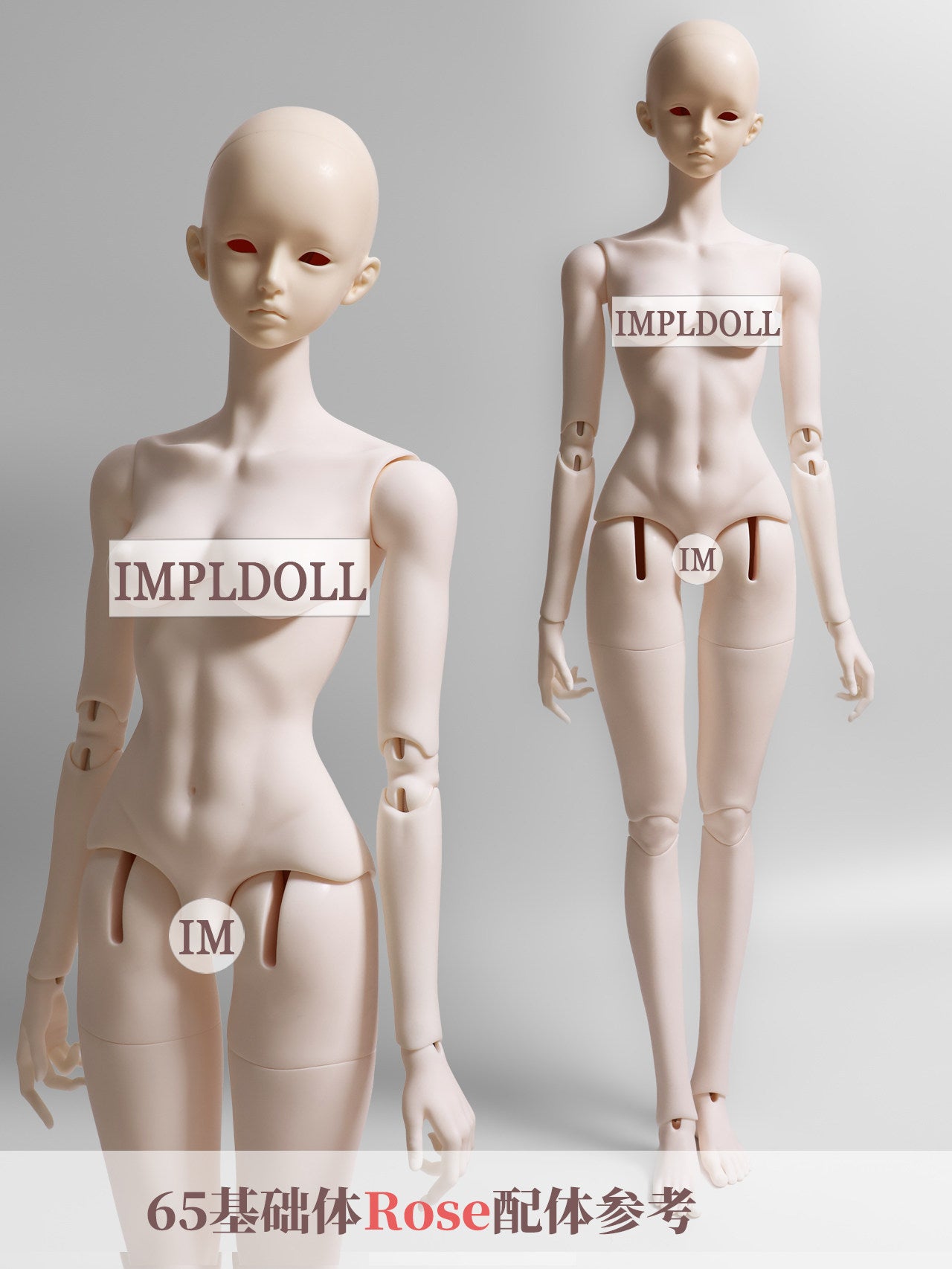 ImplDoll 65cm female BJD body仅代购